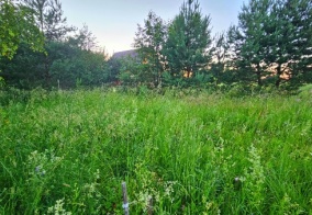 Коттедж Олин лес в Тверской области