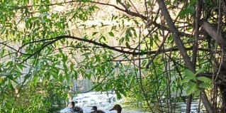 Пенза: Коттедж Bathouse58