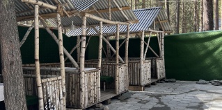 Терскол: Турбаза Green forest
