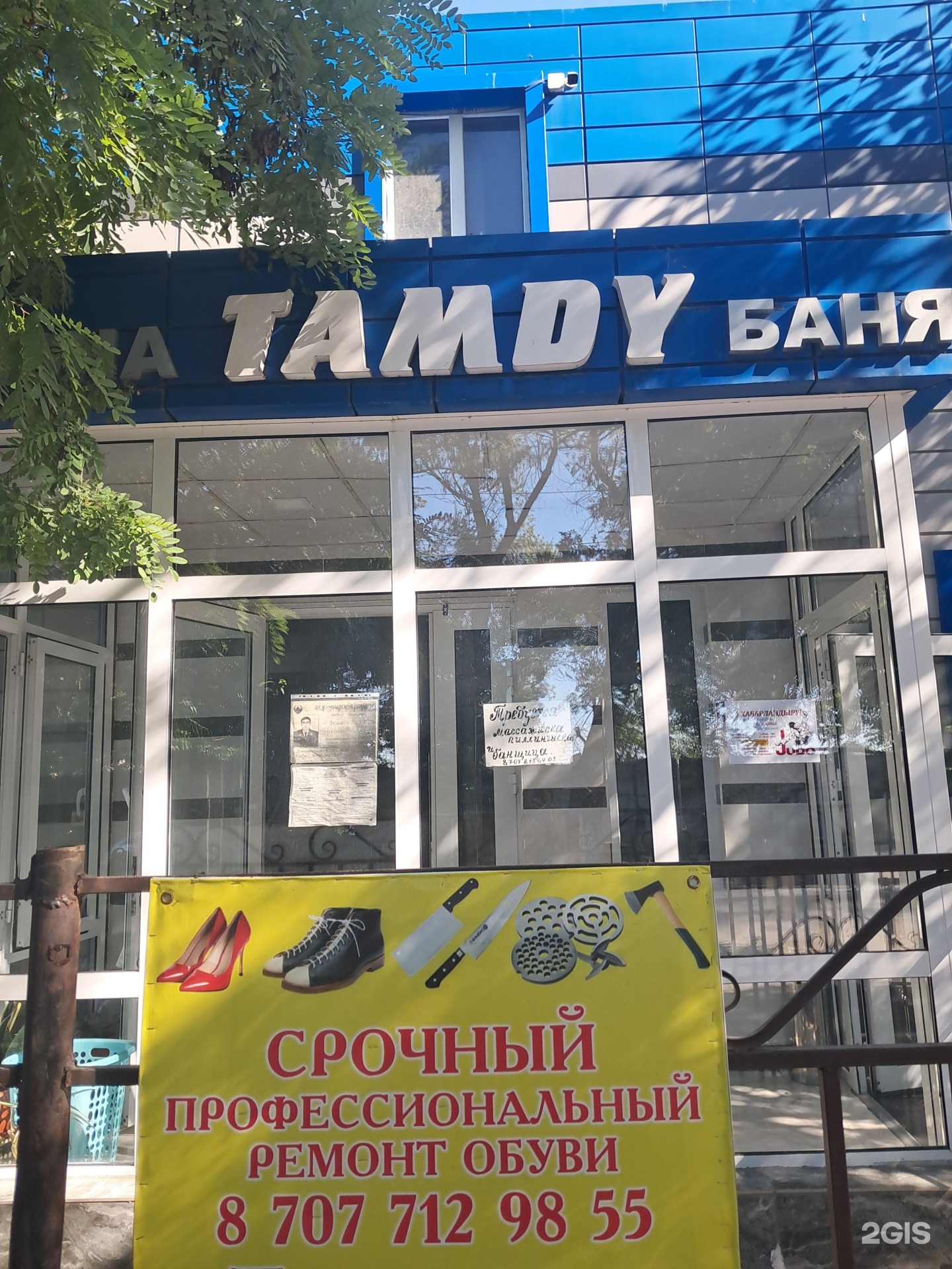 Tamdy