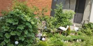 Наро-Фоминск: Коттедж Меблированные комнаты Комильфо