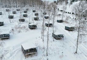 Глэмпинг Красота в Алтайском крае