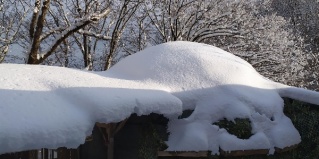 Нижняя Шиловка: Вилла/Бунгало Avatar