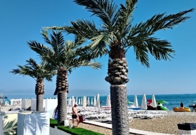 Апартаменты Бриз в Геленджике