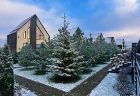 Глэмпинг Pavlove Village в Московской области