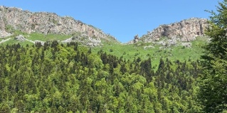 Гузерипль: Отель Black Rock Garden