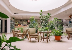 Санаторий Зелёная роща в Сочи