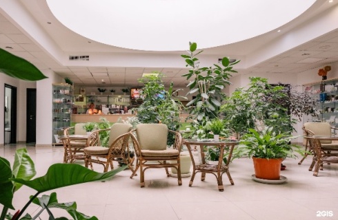 Сочи: Санаторий Зелёная роща