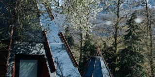 Красная Поляна: Глэмпинг Pine River Красная Поляна