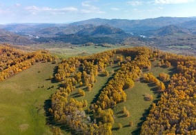 Отель Маральник Altai Palace в Республике Алтай