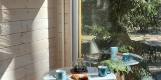 Всеволожский муниципальный район: Коттедж Лисички