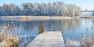 Волоколамский муниципальный округ: Глэмпинг Трофимов Берег