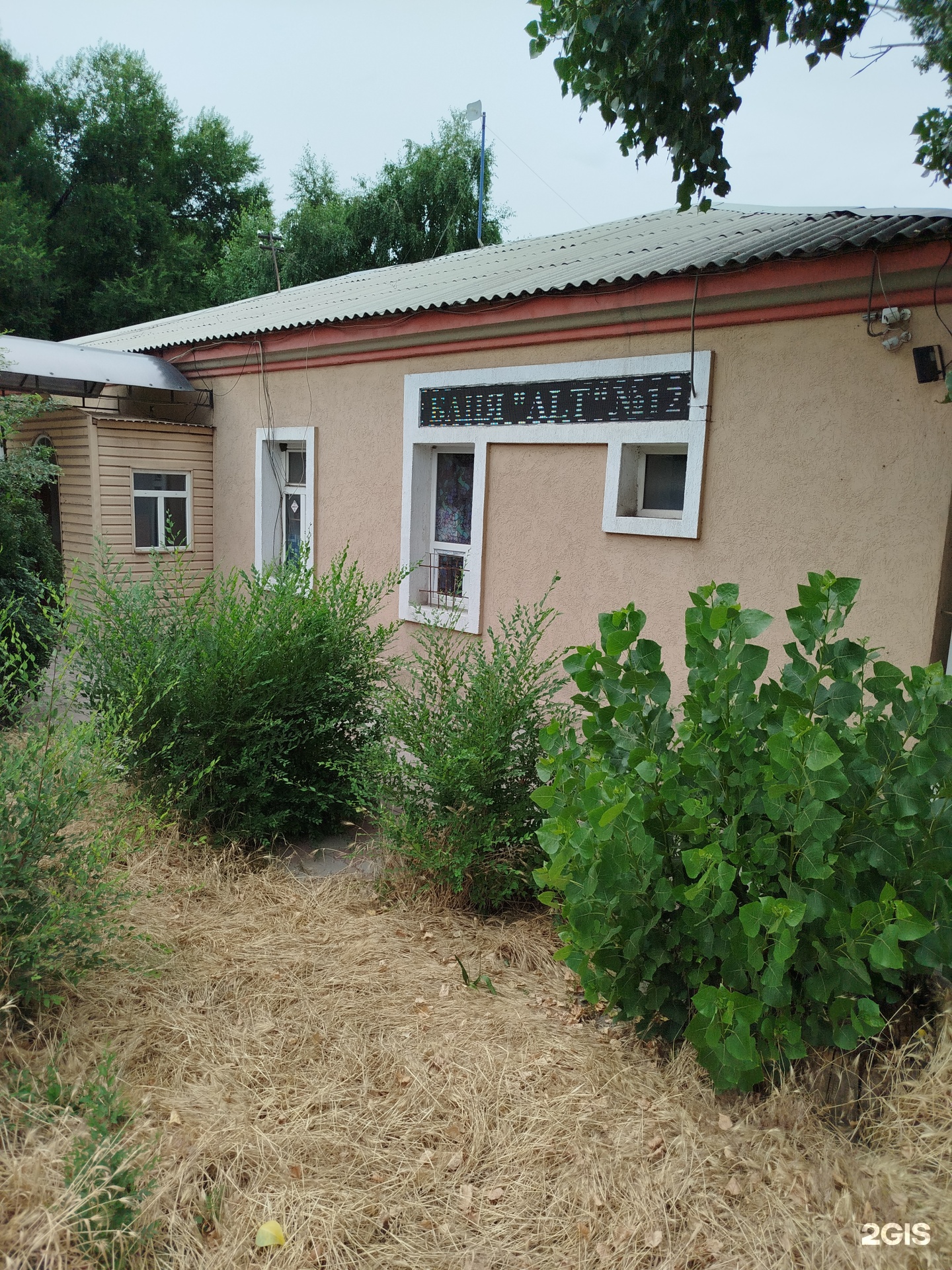 №12 ALT