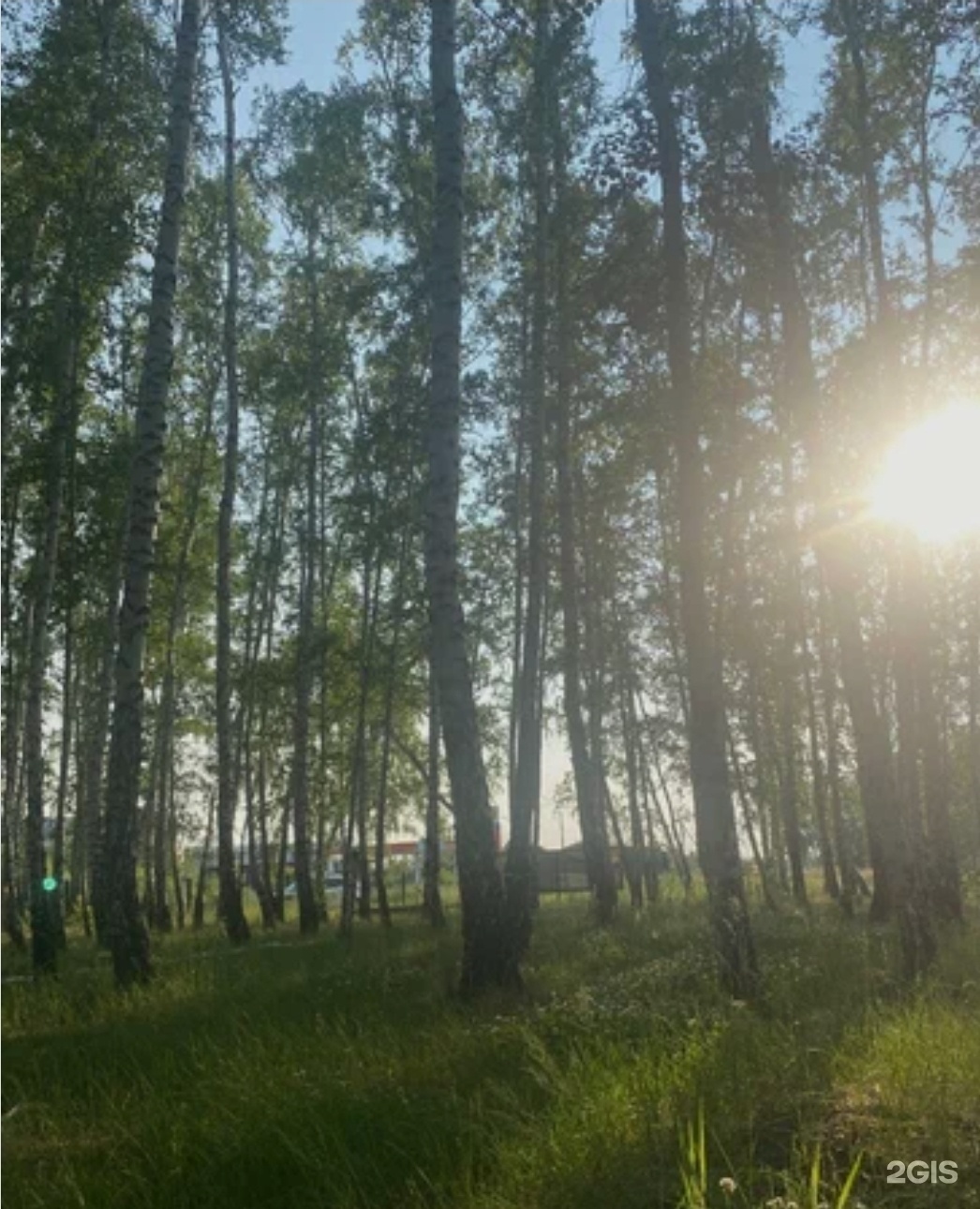 Простоквашино