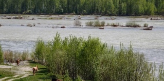 Усть-Кокса: Отель Тихий берег