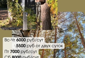 Апартаменты Nature village в Новосибирской области