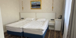 Тула: Отель Саяны