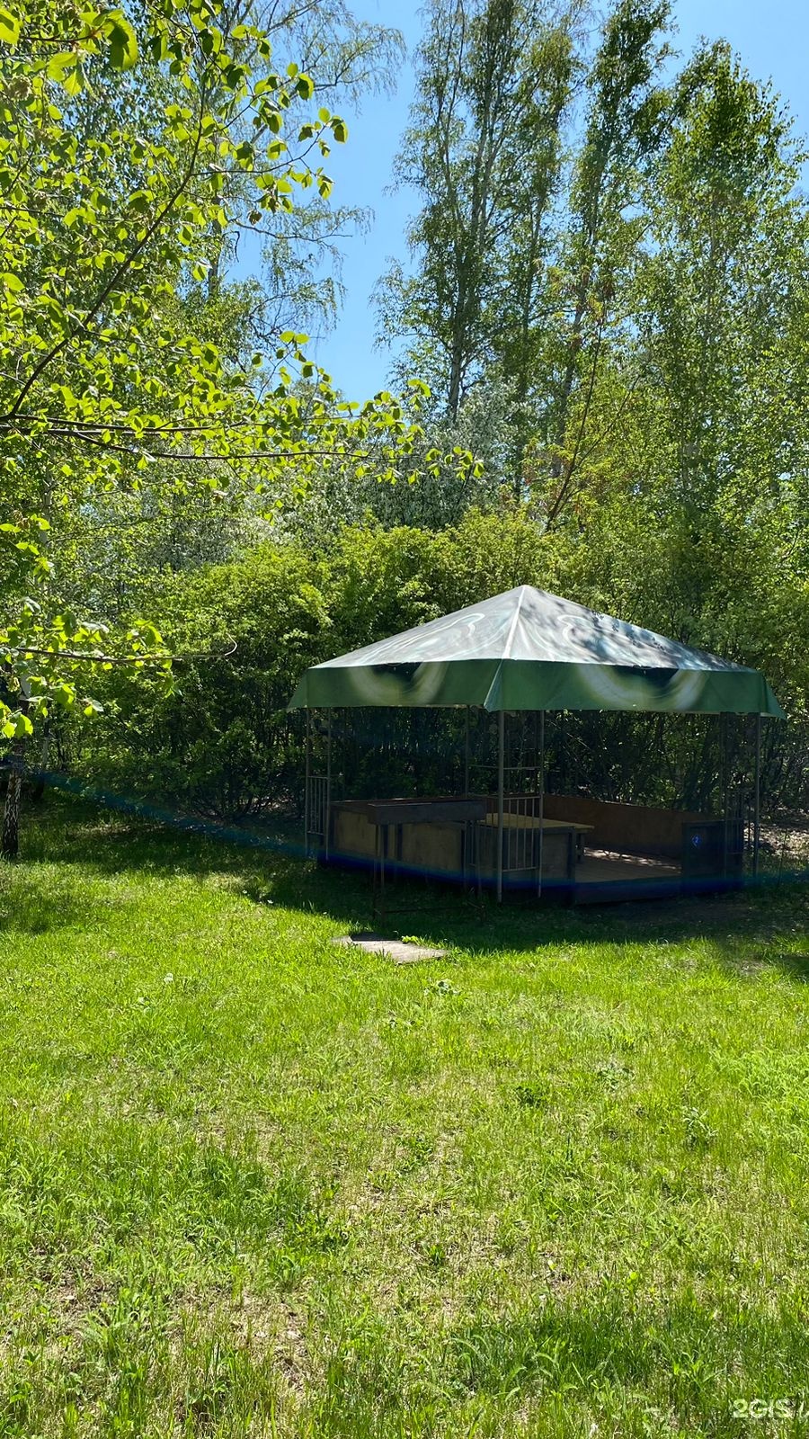Пёстрое