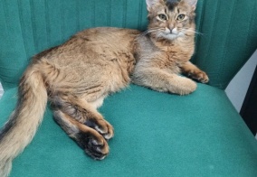 Отель Тысяча и одна ночь в Оренбургской области