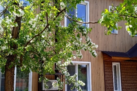 Иркутск: Отель Комфорт