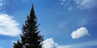 Шерегеш: Коттедж Mountain Harbor
