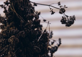 Гостевой дом Гранд Алтай Манжерок в Республике Алтай