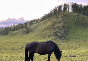 Отель Надежда в Усть-Кане
