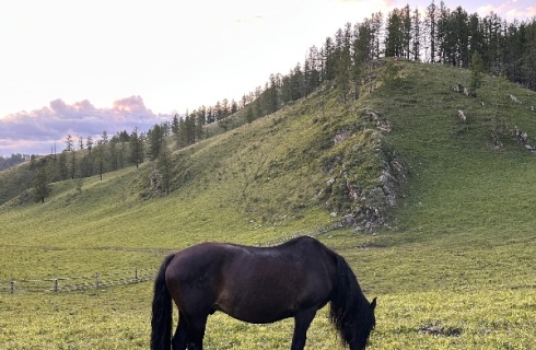 с. Усть-Кан: Отель Надежда