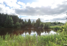 Отель Maxrooms дача Левитана под Плёсом в Ивановской области