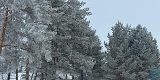 Павлодар: Апартаменты Черноярская жемчужина